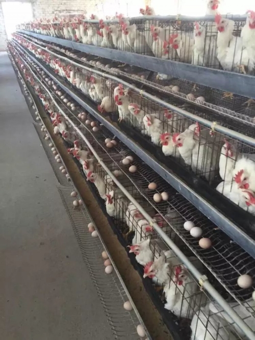 Z6·尊龙「中国」官方网站司