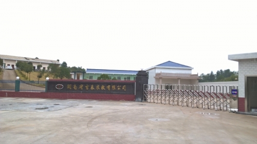 Z6·尊龙「中国」官方网站司