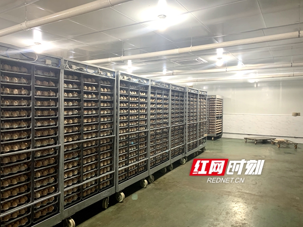 湖南省尊龙官方网站农牧股份有限公司