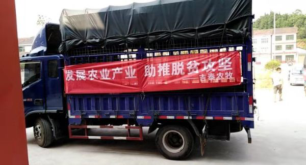 尊龙官方网站农牧